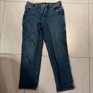 Banana Republic Blue Denim Jeans